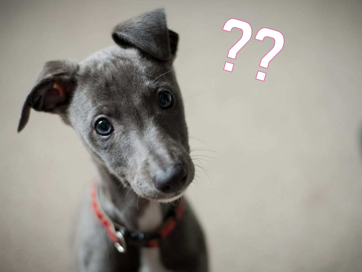 社長のあいまいな指示で大混乱！メールでも直接でも守るべきルールとは