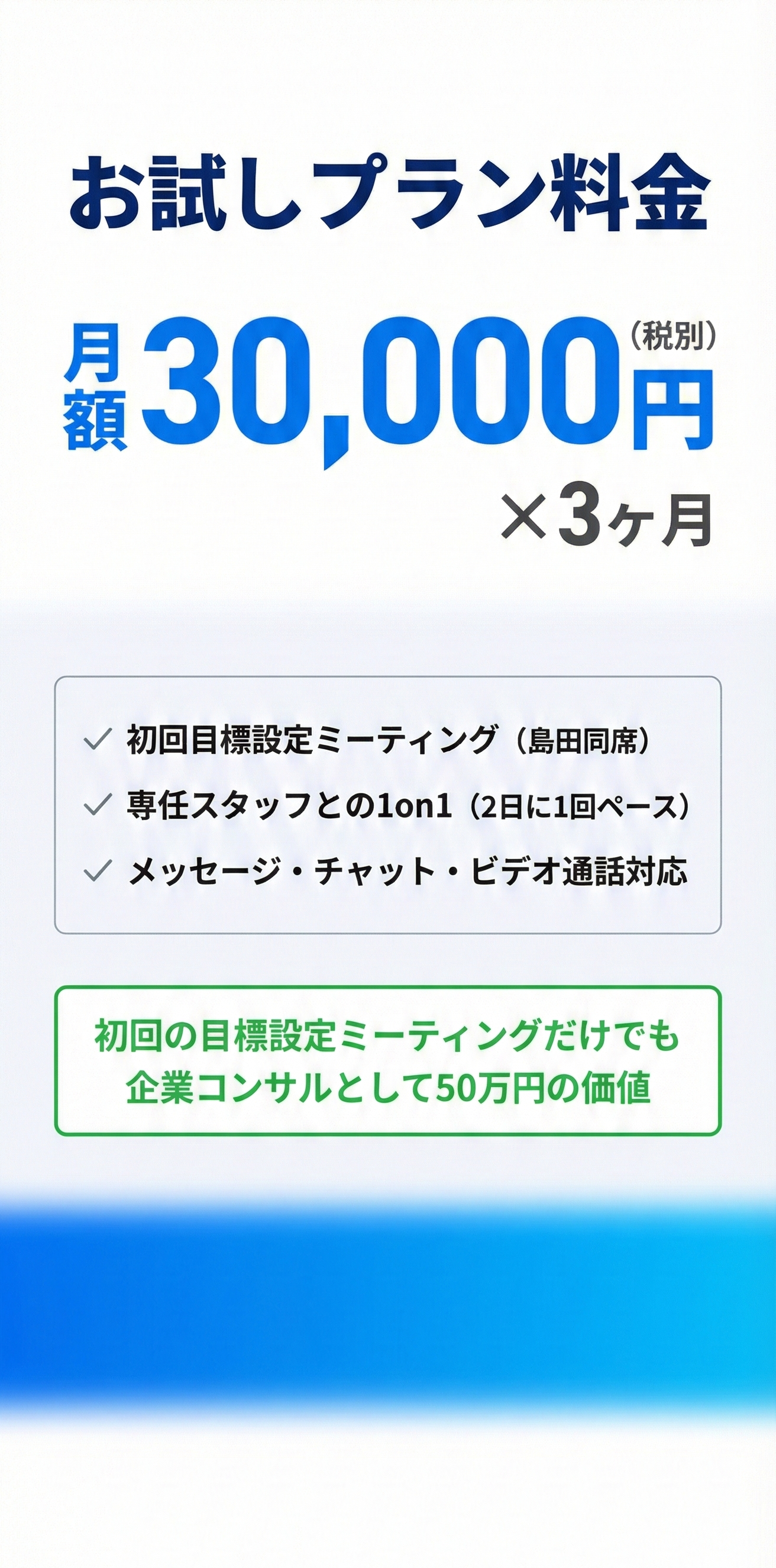 お試しプラン料金 月額30,000円×3ヶ月